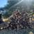 Firewood Delivered Stacked or Wood Yard Pick Special - After Church 18 thumbnail