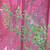 Ming Asparagus Fern - RARE houseplant - Asparagus retrofractus 3 thumbnail