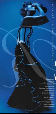 Professional Cleaning Services in Lingerie 1