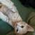 Free kittens 1 thumbnail