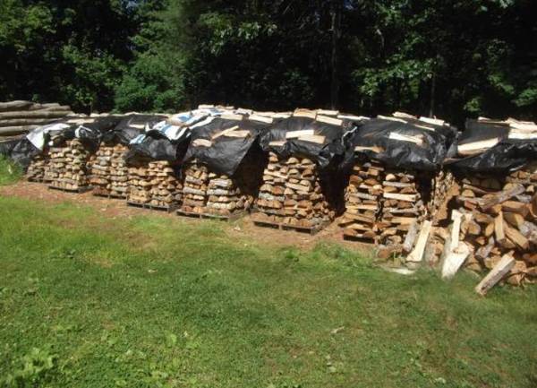 Seasoned firewood 1