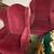 pair of vintage wingback chairs 1 thumbnail