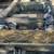Duck boat complete 1 thumbnail