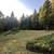 Gorgeous and Secluded RV Parking spot with hookups and a 2 Car Garage 2 thumbnail