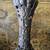 Pair of Japanese Mid Certury Modern Lamps 11 thumbnail