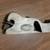 Stanley no. 93 rabbet wood plane 1 thumbnail