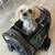 Pet Carrying Travel Crate and Kennel 11 thumbnail
