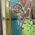 SET / 3 STAINED GLASS DOORS- BEAU ARTES ( 1890 ) 81" wide RARE 8 thumbnail