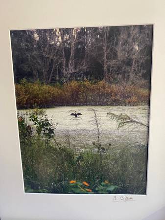 Deland's Bruce Bigman Print. 1