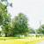 SPACIOUS HOME IN ASCENSION PARISH - NO BANK NEEDED 12 thumbnail