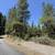 6.8 Usable Acres with a Cleared Home Site and Solar 16 thumbnail