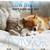 3-in-1 Dog Grooming Clippers Kit - Rechargeable Low Noise Pet Trimmer Set with P 4 thumbnail