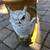 Retro Owl motif ceramic umbrella stand / floor vase B38 5 thumbnail