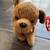 Rare TY Beanie Baby “TUFFY” the dog, 1996, with tag errors. 8 thumbnail