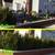 5-6 ' Privacy Hedge Arborvitae Free Install Green Giant, Dark American 4 thumbnail