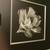 Set Silver & Black Framed Floral Pictures 2 thumbnail