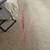 Carpet cleaning 1 thumbnail
