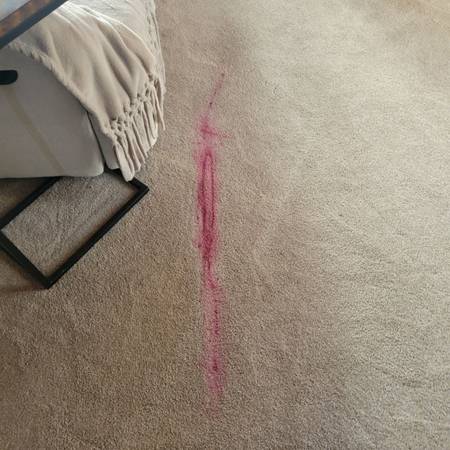 Carpet cleaning 1