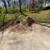 Wood Chips 2 thumbnail