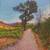 Landscape paintings 3 thumbnail