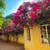 SE VENDE CASA EN ZONA DORADA RESIDENCIAL AGUA CALIENTE 3 RECAMARAS 3 thumbnail