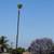 TITLE: 🌳 TREE TRIMMING & REMOVAL – FREE ESTIMATES 🌳 BODY: Professi 1 thumbnail