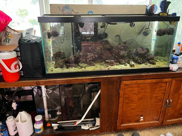 75 Gallon Fish Tank 1