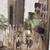 Signed Friedman vintage oil on canvas 7 thumbnail