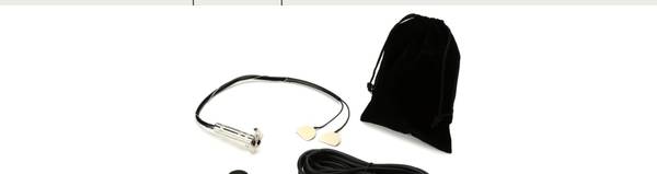 Fishman double bass pick up 1