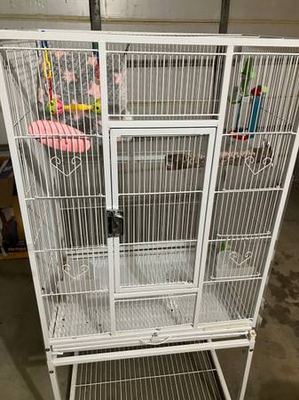 Large bird cage with accessories 1
