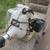 ECHO GT-220R String Trimmer 5 thumbnail