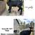 Goats for sale 3 thumbnail