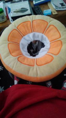 Small cone $5 (PARKER)63921242660354120