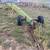 John Deere 940 Land plane 2 thumbnail