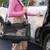 Black BRAND  NEW Sherpa Airline Approved Soft-Sided Dog & Cat Carrier 4 thumbnail