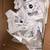 New Respironics CPAP C PAP SUPPLIES,S,S/M , L Masks,Water Reservoir,et 13 thumbnail