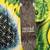 New skateboard deck 3 thumbnail