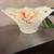 Vintage Victorian Hand Painted Frosted Glass Bowl Chip 2 thumbnail