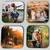 Personalized Coasters 3 thumbnail