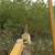 Tree pulling, storm cleanup and brush removal 6 thumbnail