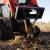Skid Steer Tree Grubber 2 thumbnail