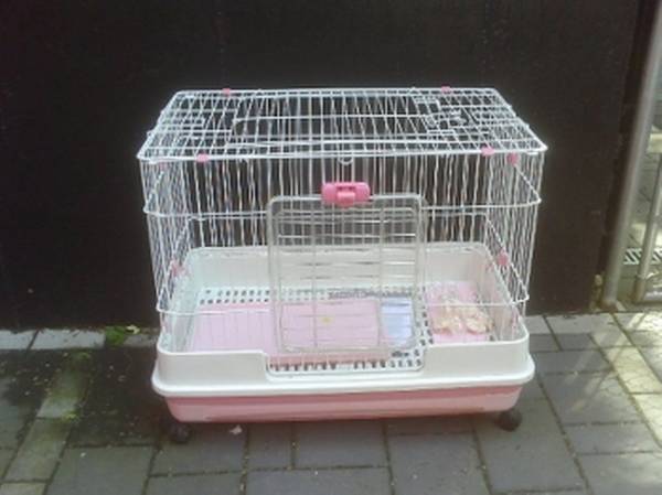 Rabbit Cage (Pink & White 1