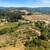 Knoll-Top Orchard Estate Setting In The Corralitos Foothills! 5 thumbnail