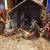 Nativity set 1 thumbnail