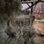 Hay bales 4 thumbnail