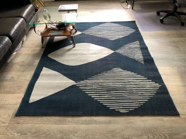 Area Rug 1