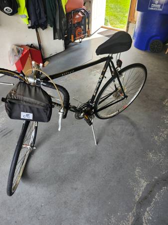 Raleigh 12 speed with car carriers 1