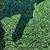 Plastic artificial grass 2 thumbnail
