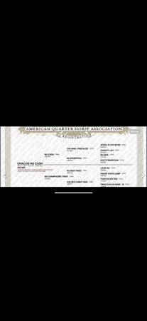 Aqha stud service for 2026 1