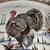 23.5 long / 17.5 tall turkey serving plate 5 thumbnail